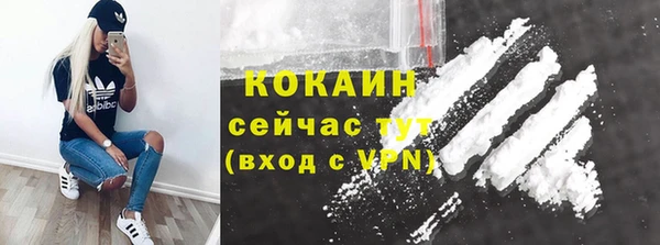 первитин Богородицк
