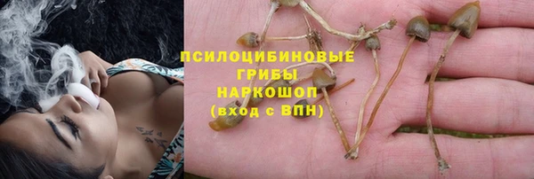 винт Богородск