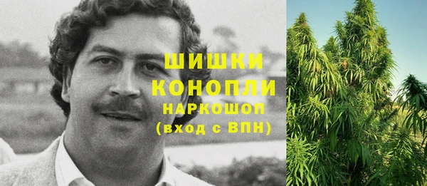 первитин Богородицк