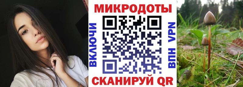 наркотики  Бикин  Галлюциногенные грибы мухоморы 